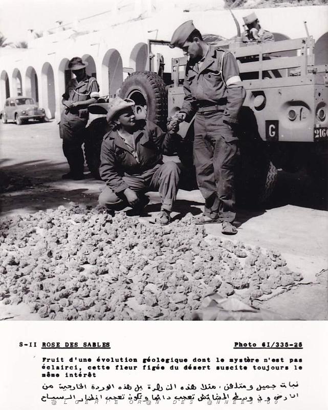 Algerie propagande 097.jpg